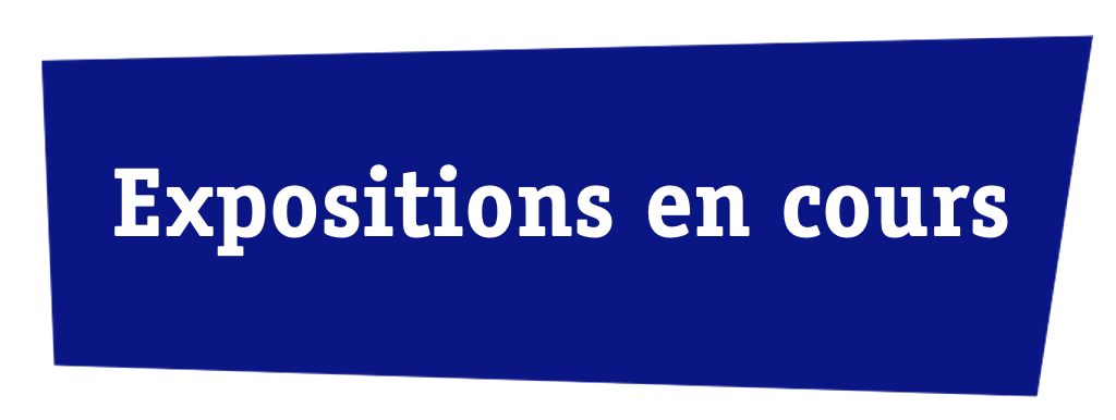 Expositions passées