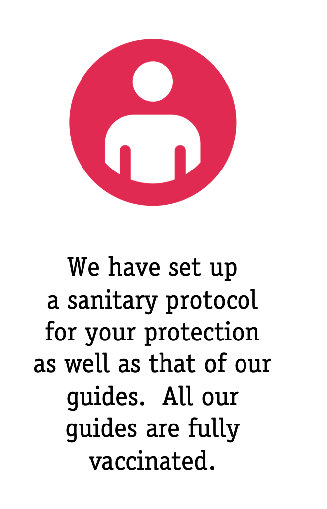 Private tour Paris sanitary protocol Private tour Paris sanitary protocol